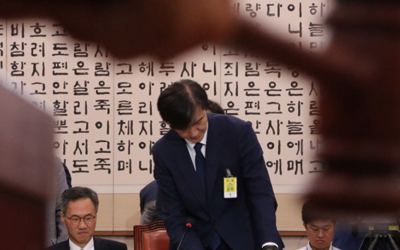 정치권의 못하기 경쟁